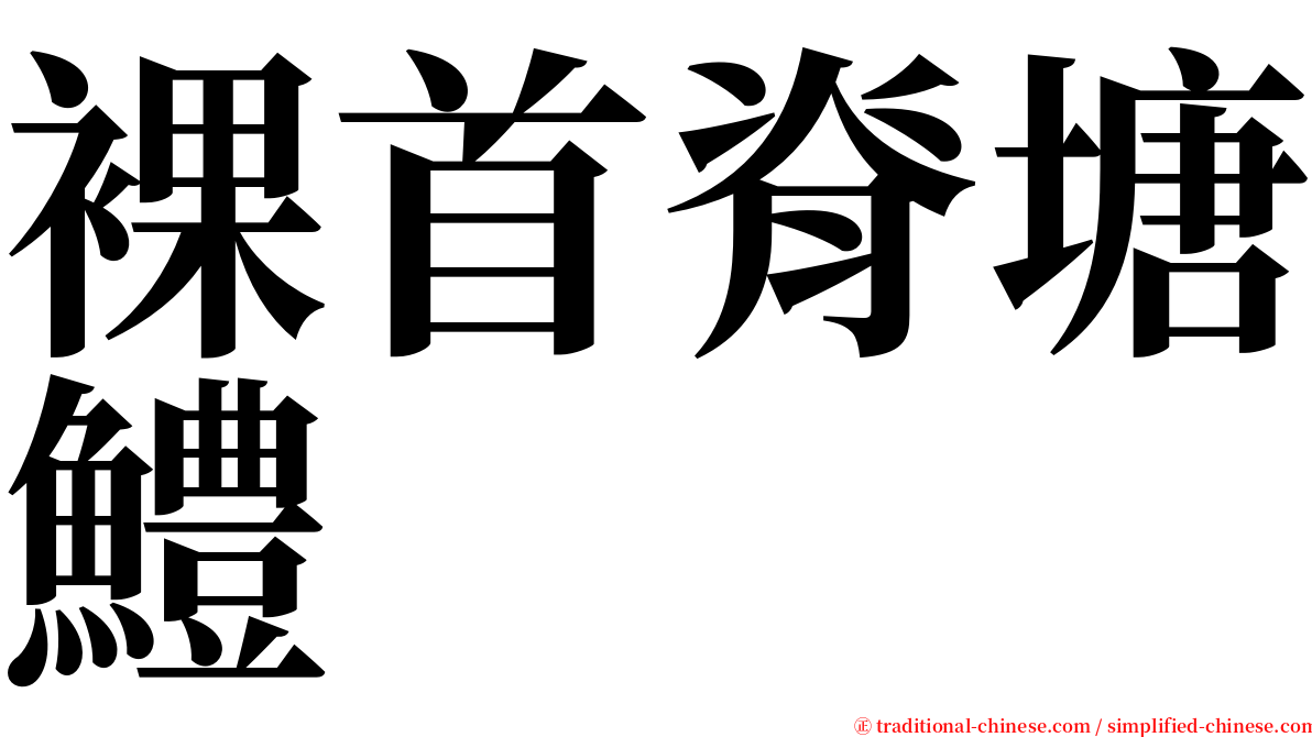 裸首脊塘鱧 serif font