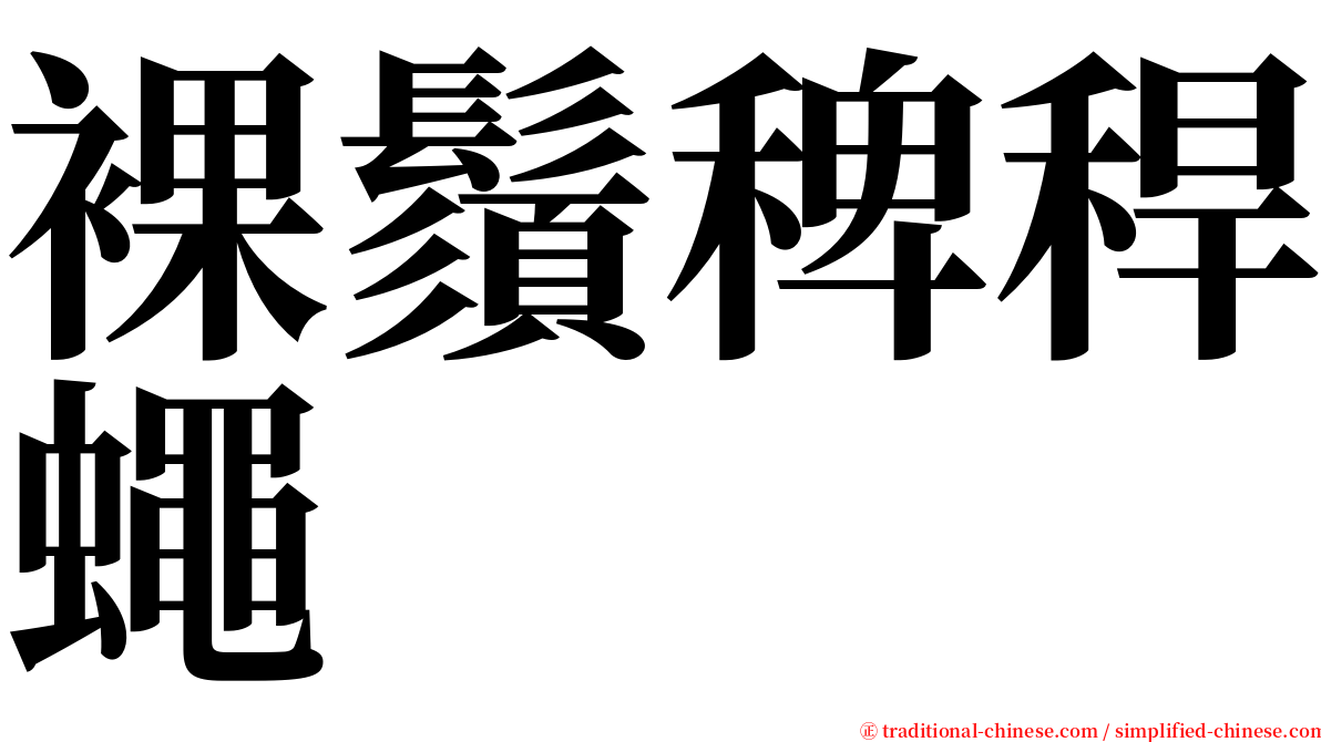 裸鬚稗稈蠅 serif font