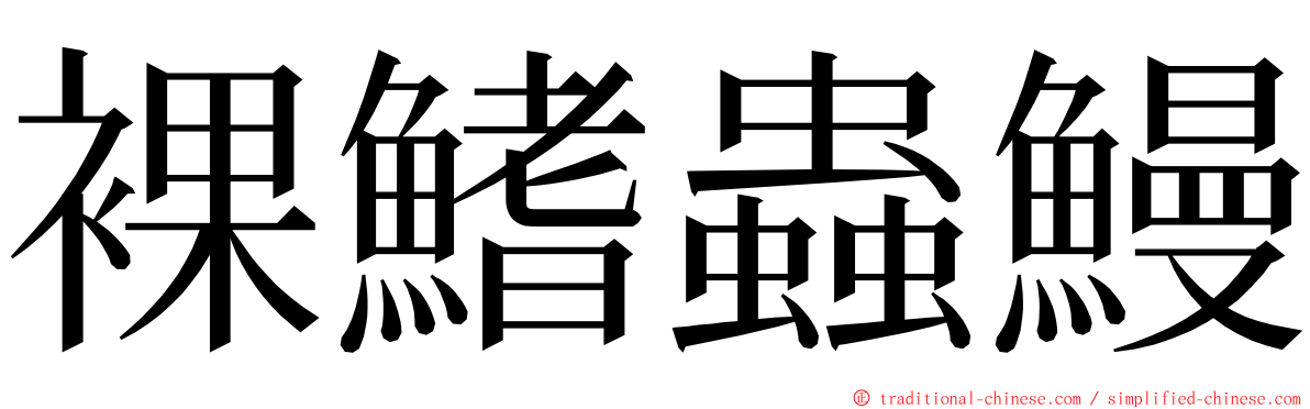 裸鰭蟲鰻 ming font