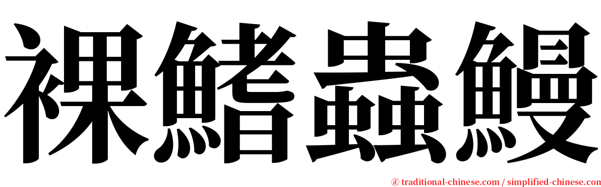 裸鰭蟲鰻 serif font