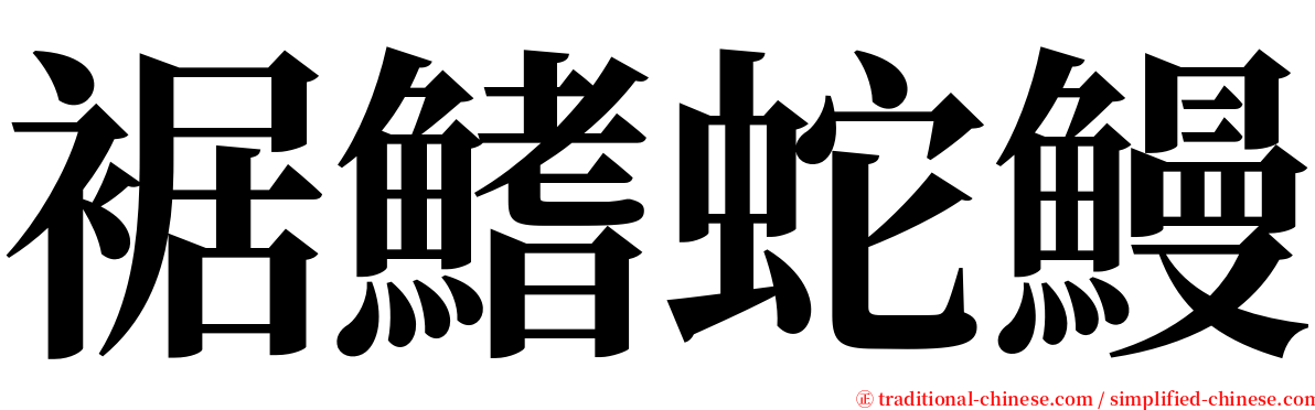 裾鰭蛇鰻 serif font