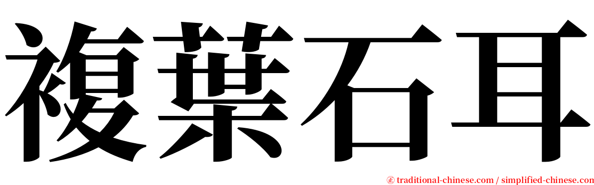 複葉石耳 serif font