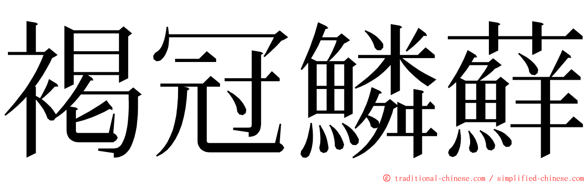 褐冠鱗蘚 ming font