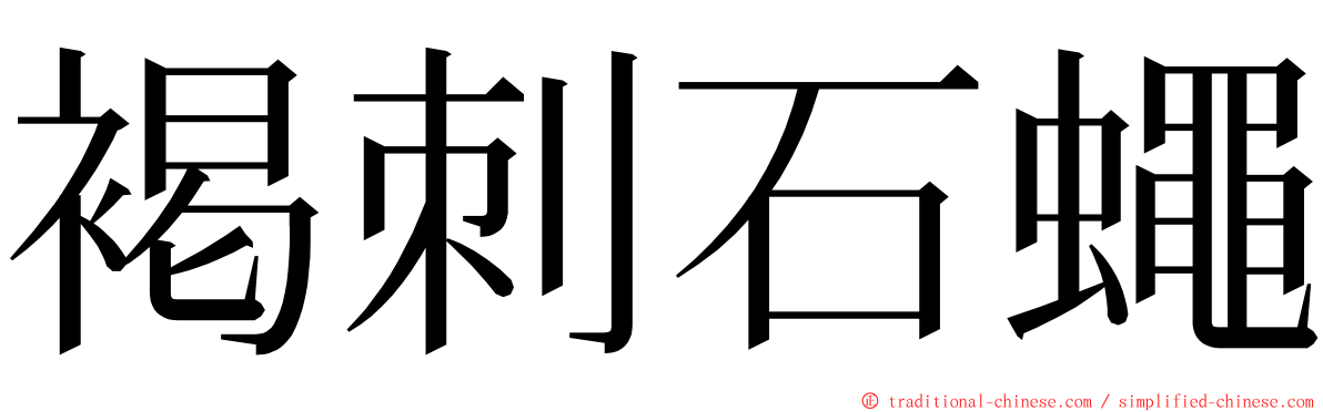 褐刺石蠅 ming font