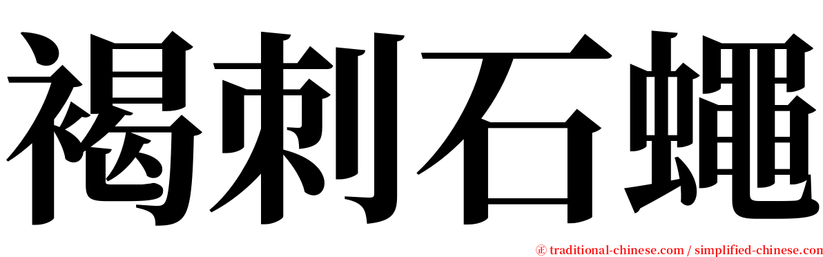 褐刺石蠅 serif font