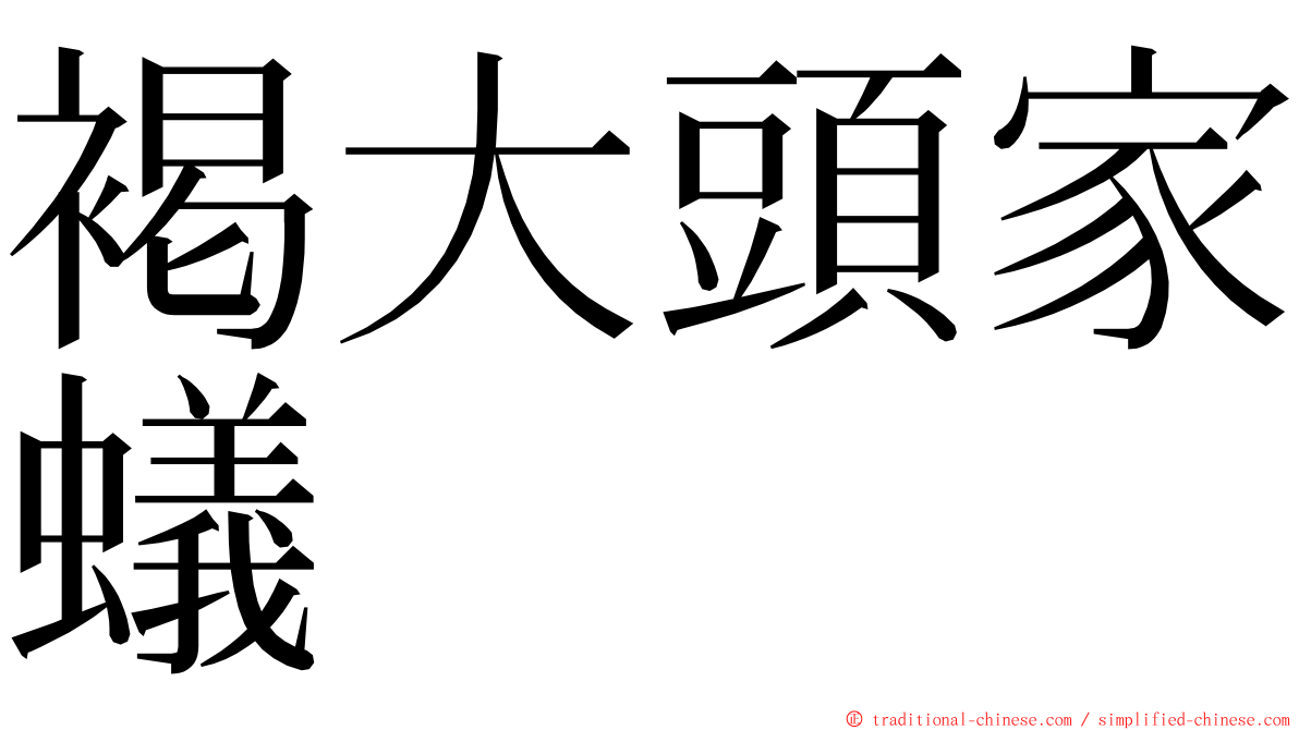 褐大頭家蟻 ming font