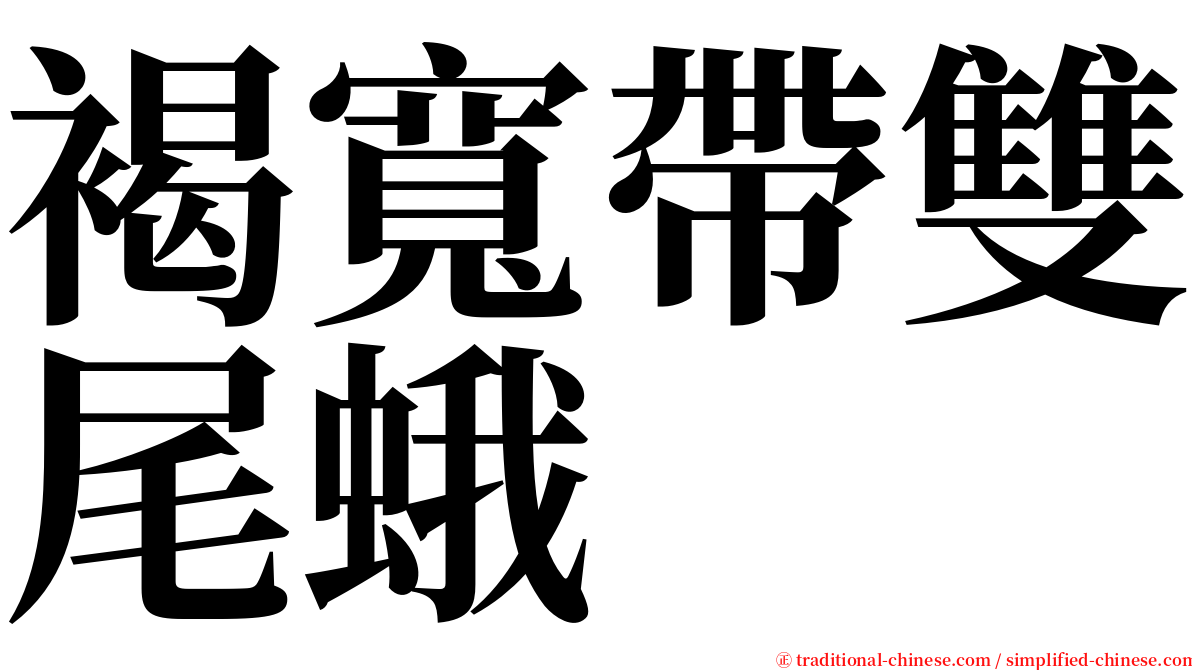 褐寬帶雙尾蛾 serif font