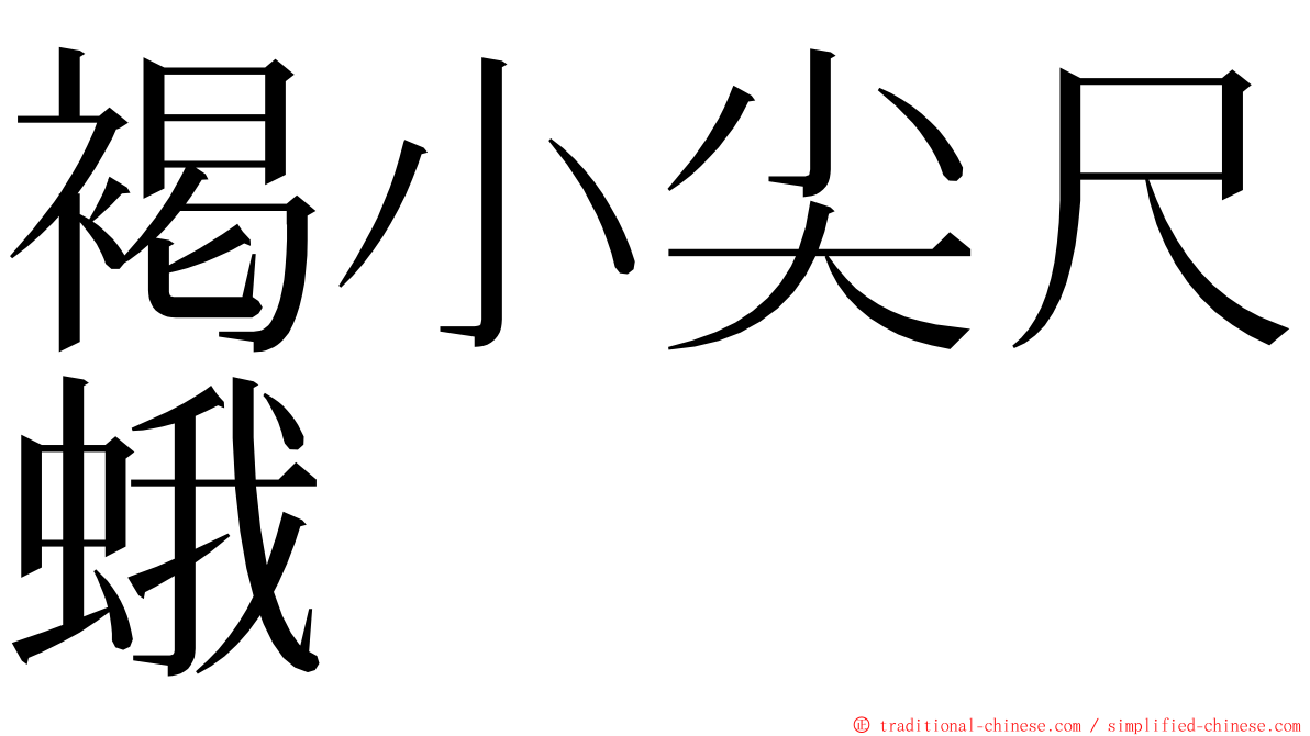 褐小尖尺蛾 ming font