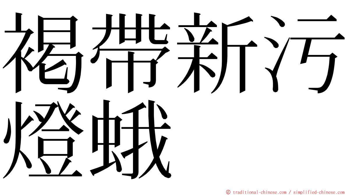 褐帶新污燈蛾 ming font