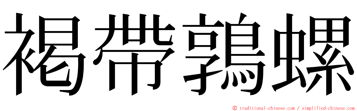 褐帶鶉螺 ming font