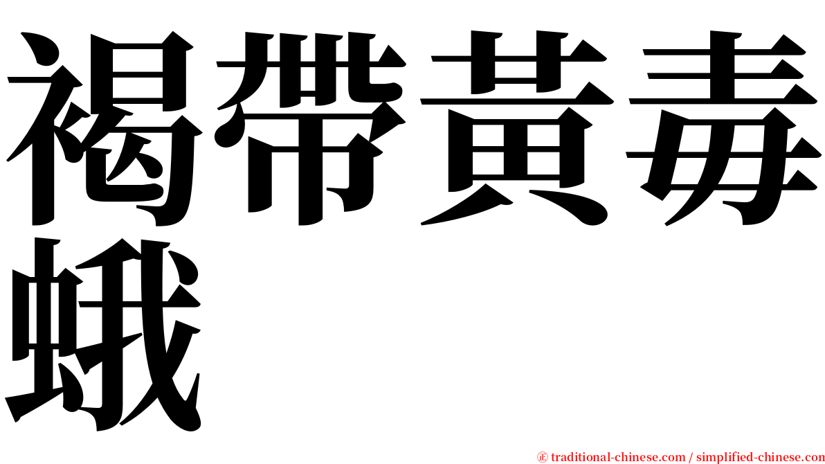 褐帶黃毒蛾 serif font