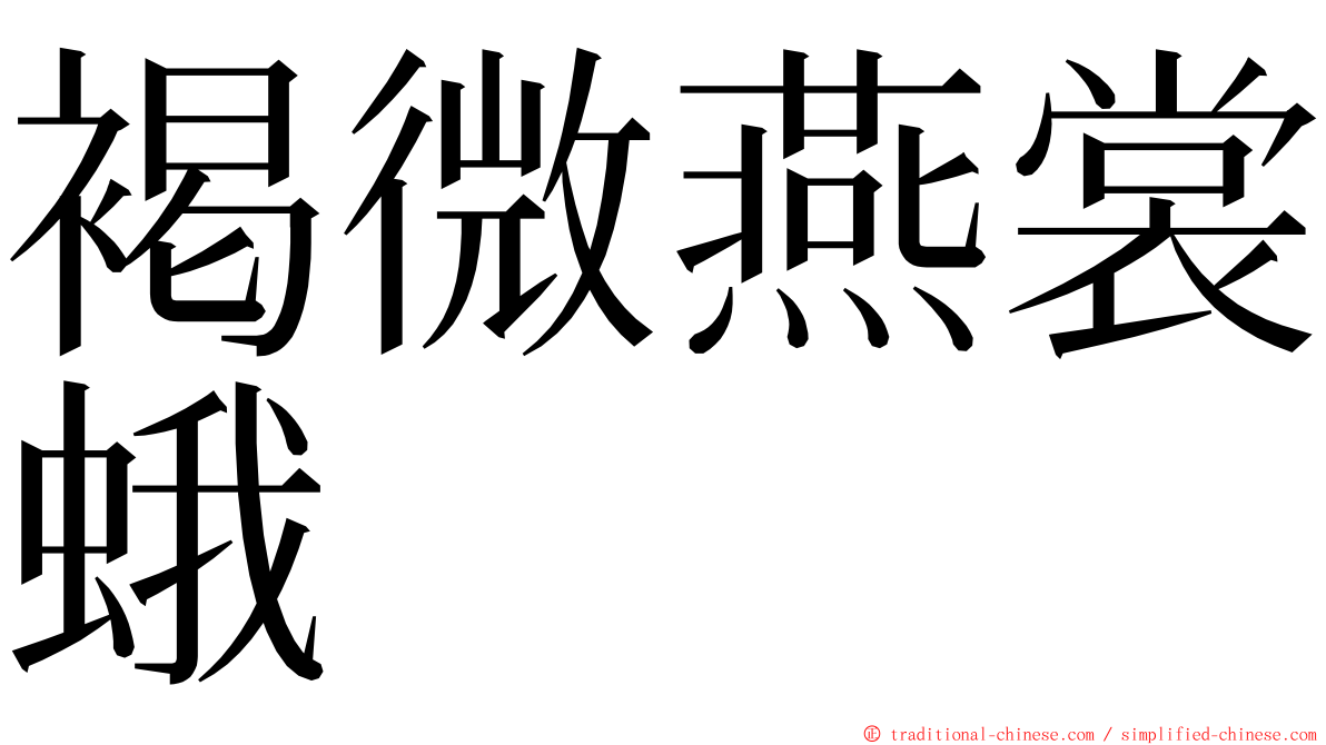 褐微燕裳蛾 ming font