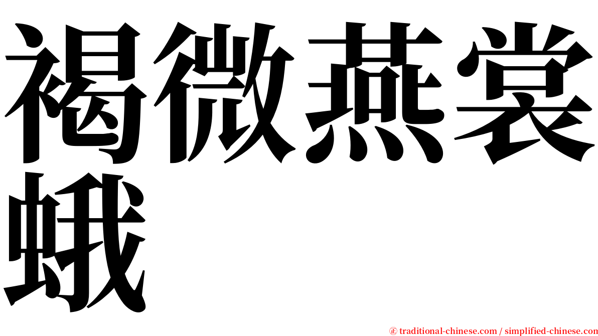 褐微燕裳蛾 serif font