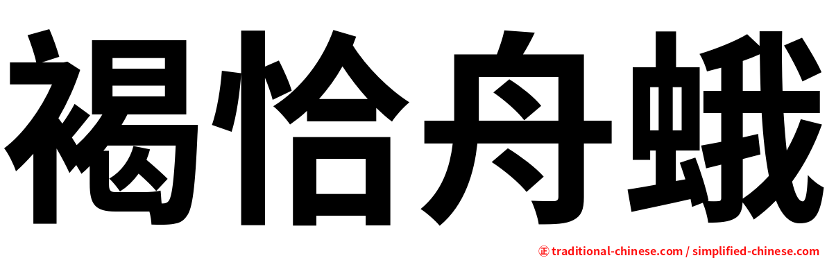 褐恰舟蛾