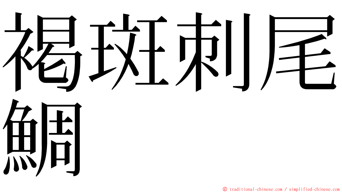 褐斑刺尾鯛 ming font