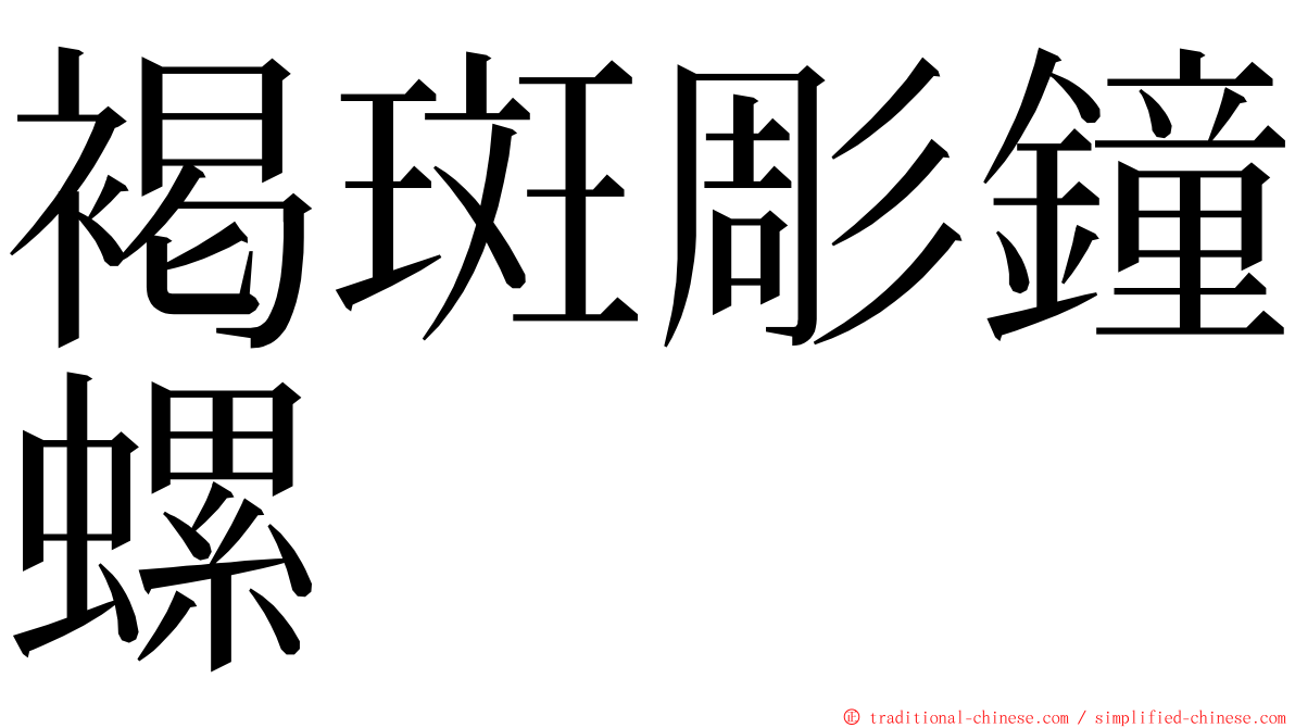 褐斑彫鐘螺 ming font