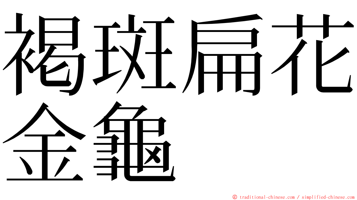 褐斑扁花金龜 ming font