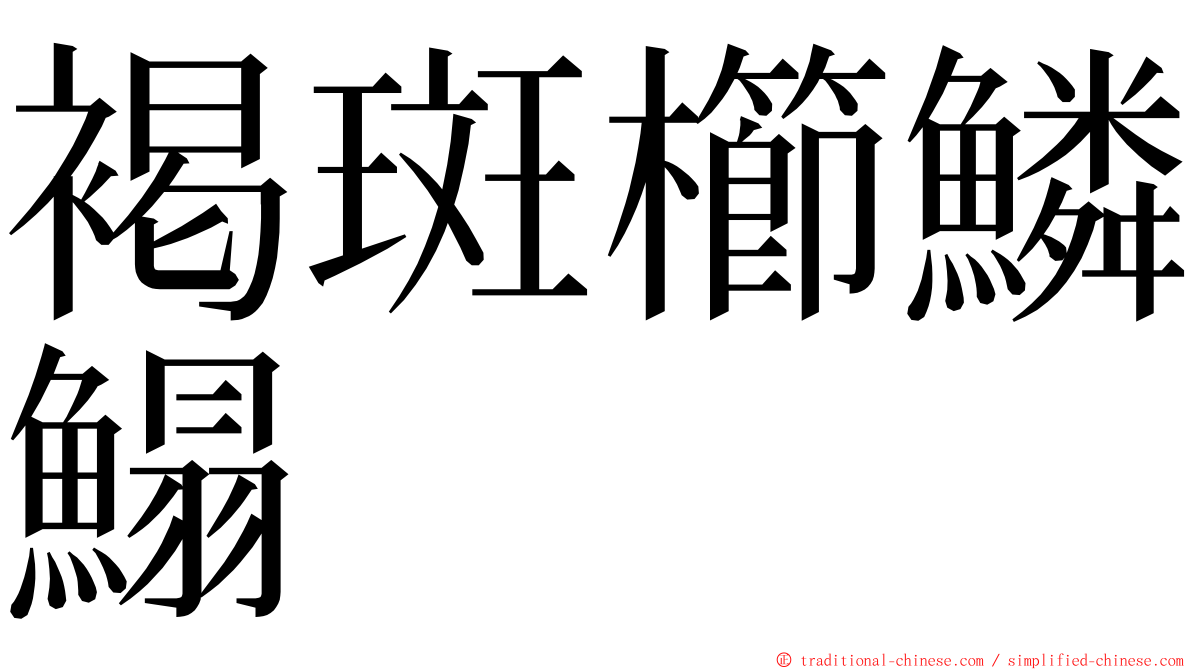 褐斑櫛鱗鰨 ming font