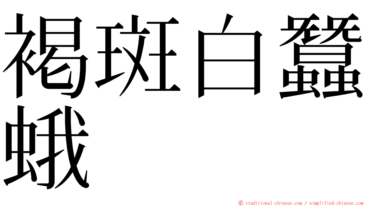 褐斑白蠶蛾 ming font