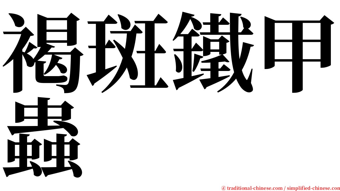 褐斑鐵甲蟲 serif font