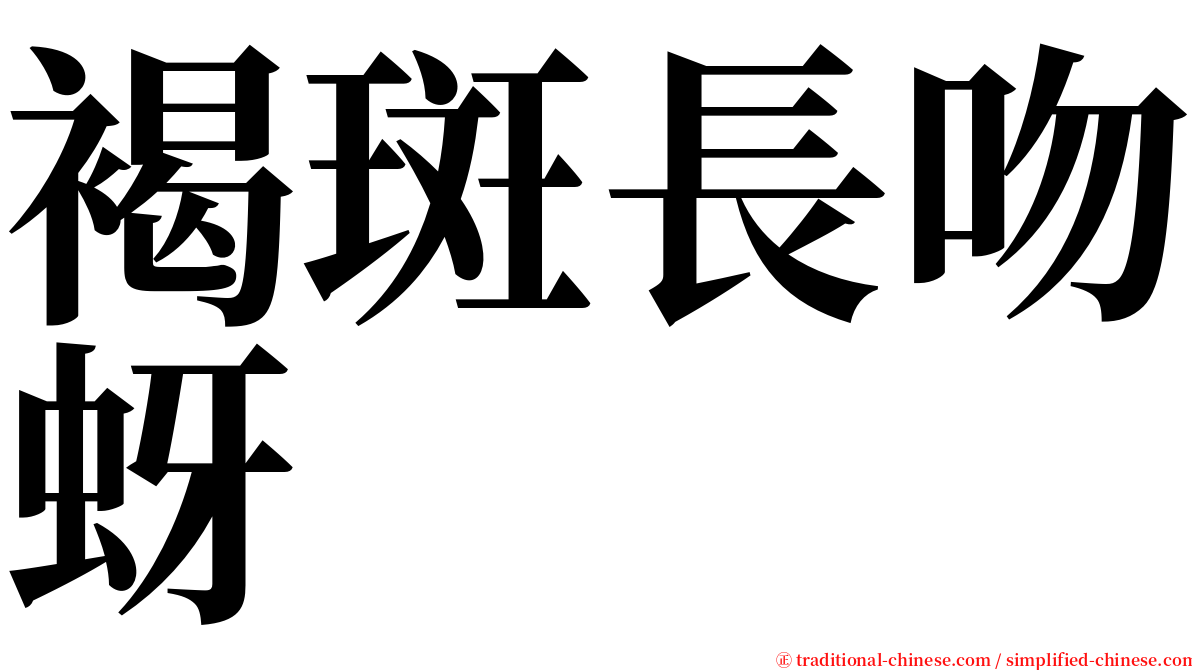 褐斑長吻蚜 serif font