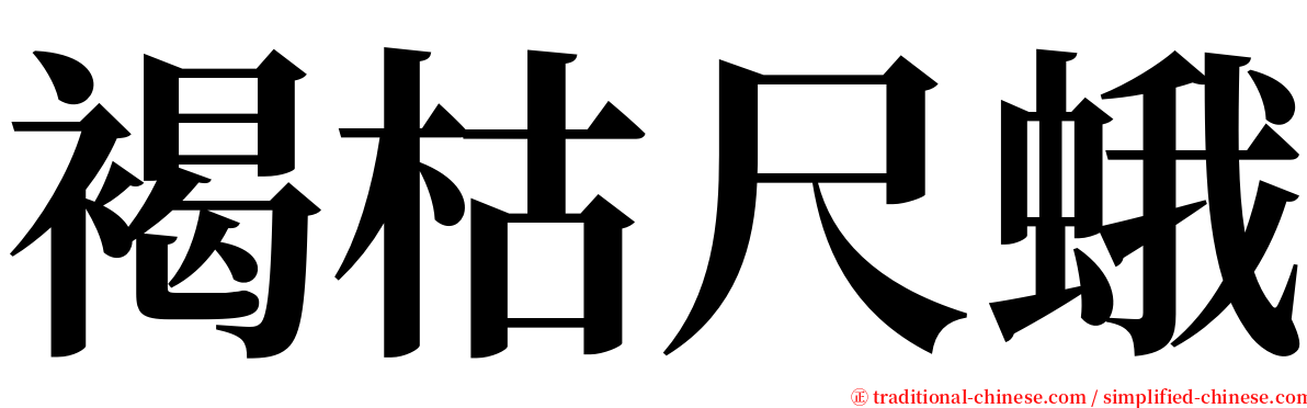 褐枯尺蛾 serif font