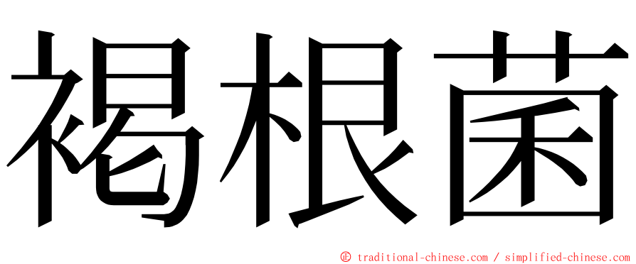 褐根菌 ming font