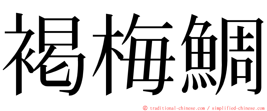 褐梅鯛 ming font