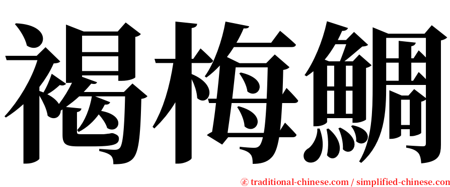 褐梅鯛 serif font