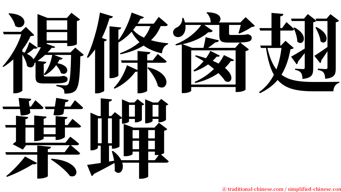 褐條窗翅葉蟬 serif font