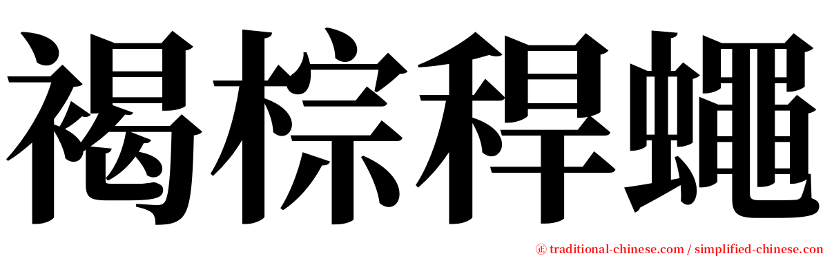 褐棕稈蠅 serif font