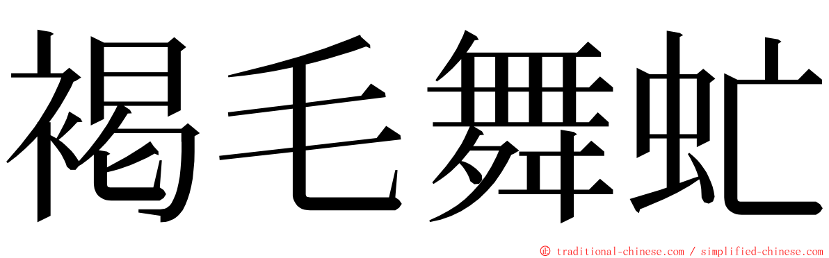 褐毛舞虻 ming font