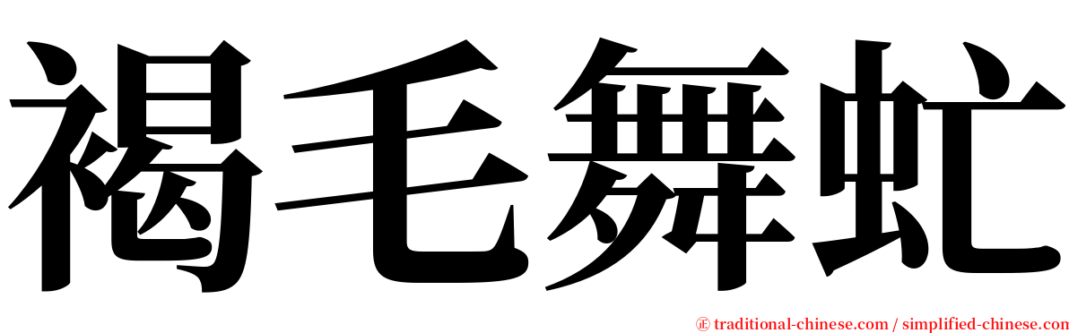 褐毛舞虻 serif font