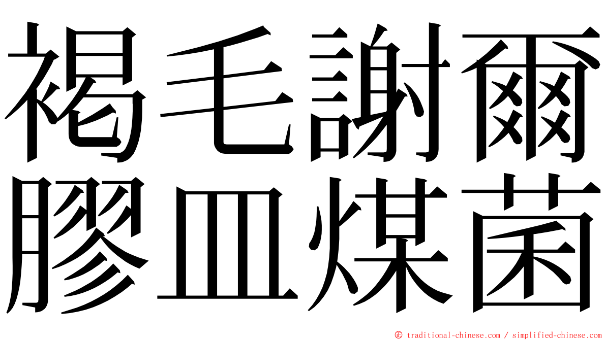 褐毛謝爾膠皿煤菌 ming font