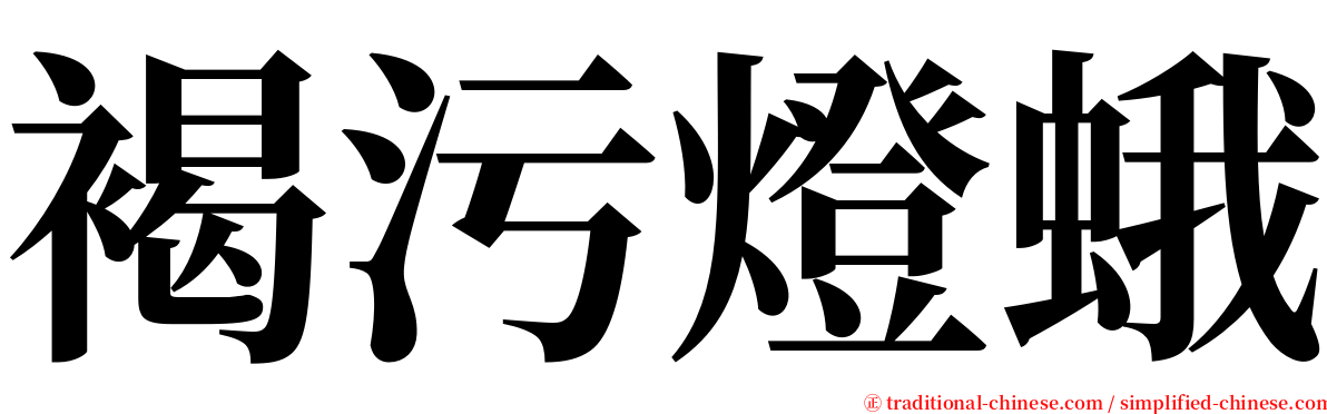 褐污燈蛾 serif font