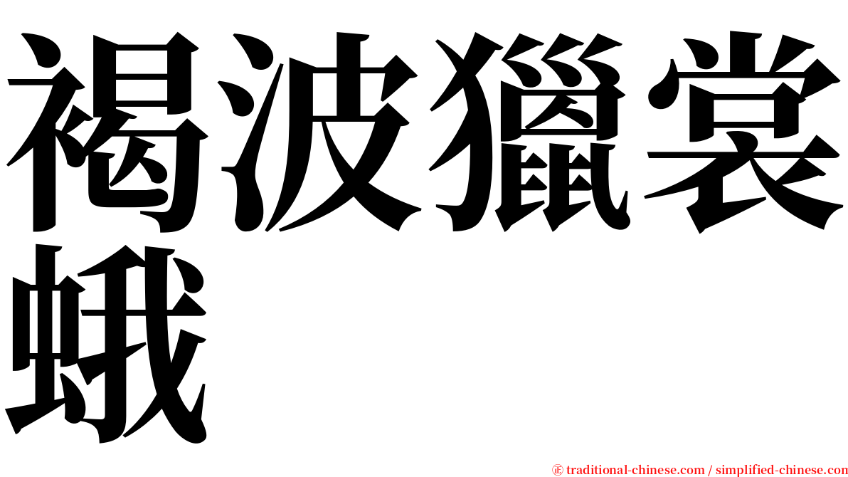 褐波獵裳蛾 serif font