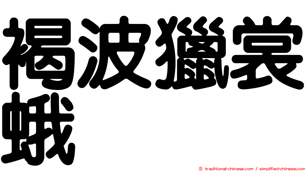 褐波獵裳蛾