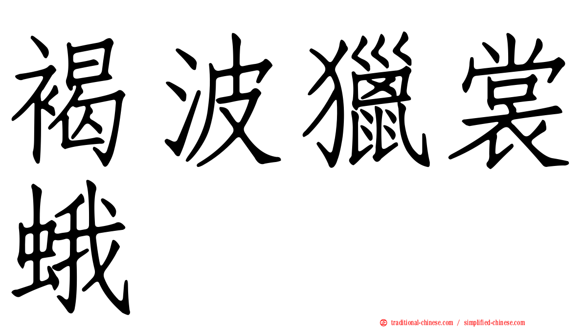 褐波獵裳蛾