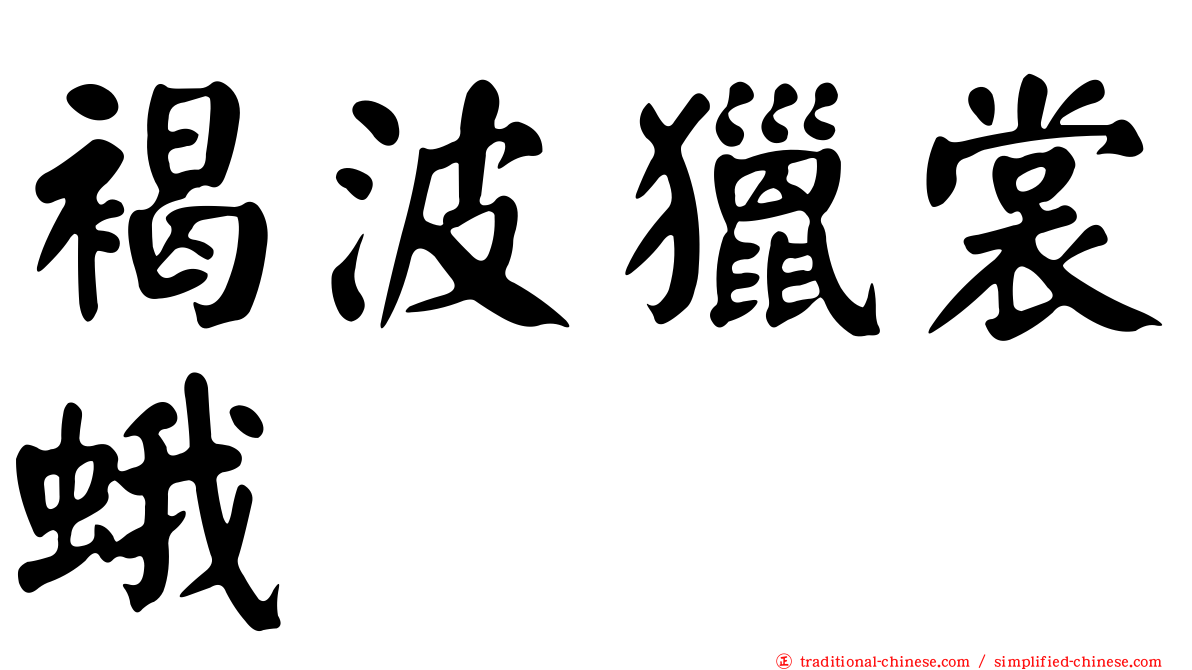 褐波獵裳蛾