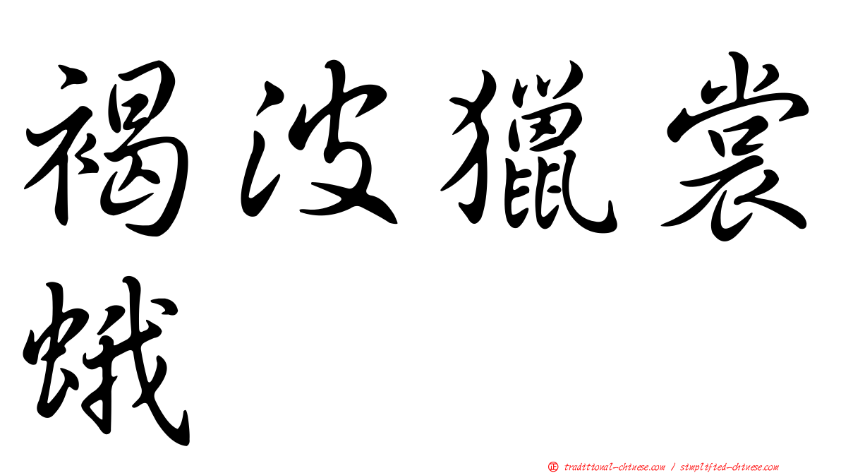 褐波獵裳蛾