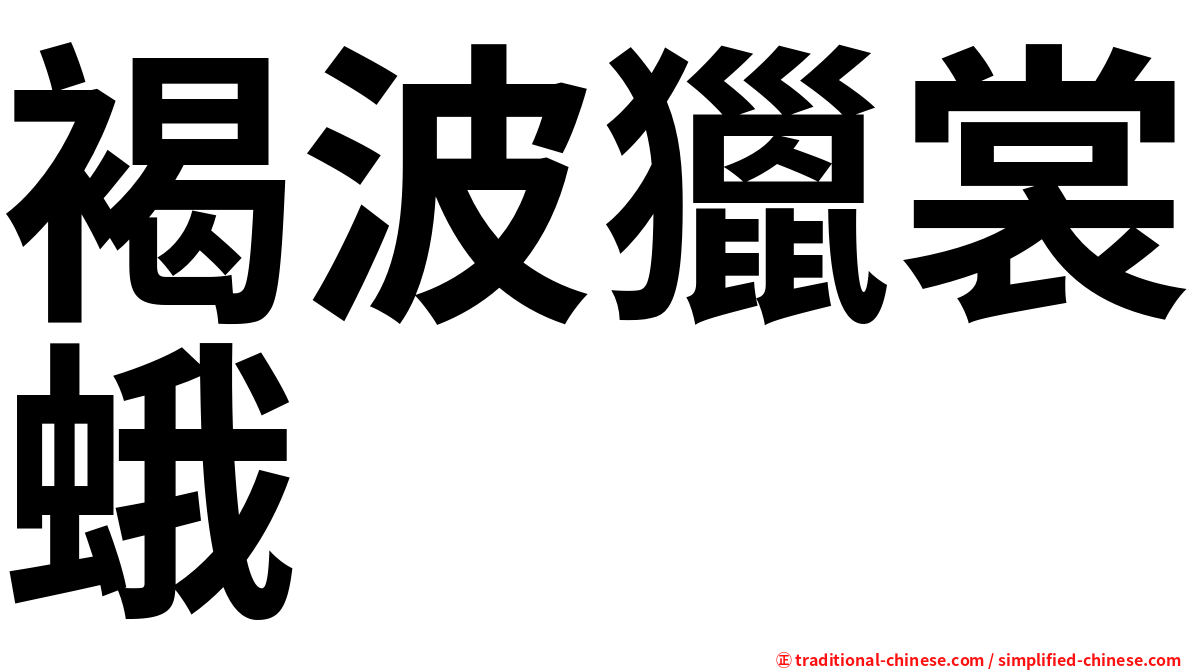 褐波獵裳蛾