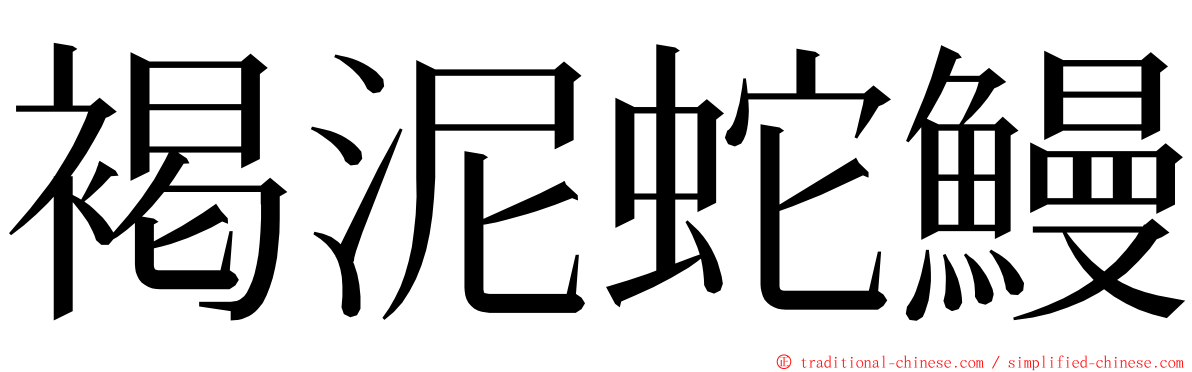 褐泥蛇鰻 ming font