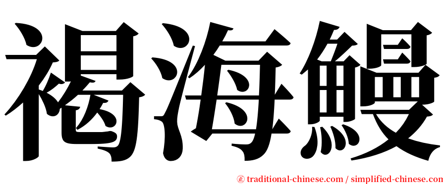 褐海鰻 serif font