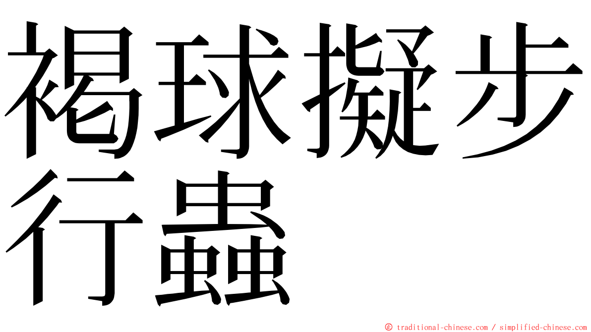 褐球擬步行蟲 ming font