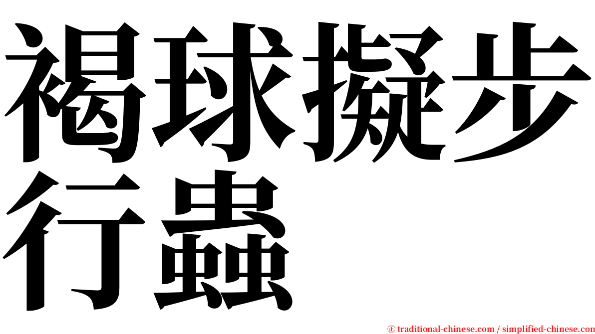 褐球擬步行蟲 serif font