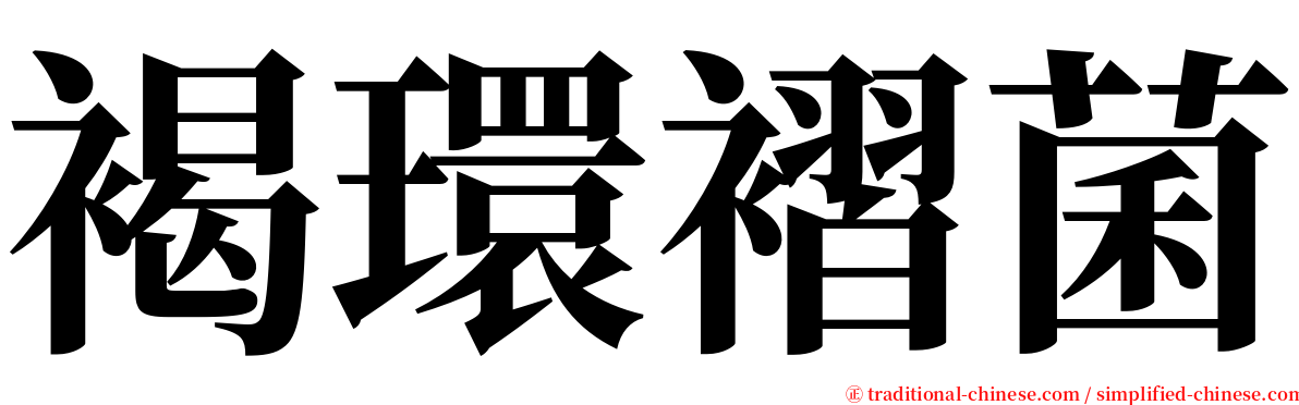 褐環褶菌 serif font