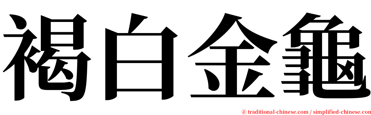 褐白金龜 serif font