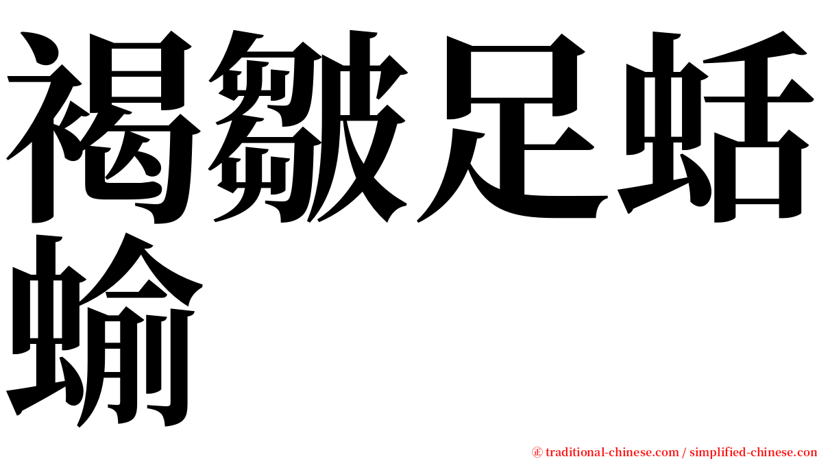 褐皺足蛞蝓 serif font