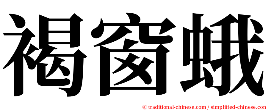 褐窗蛾 serif font