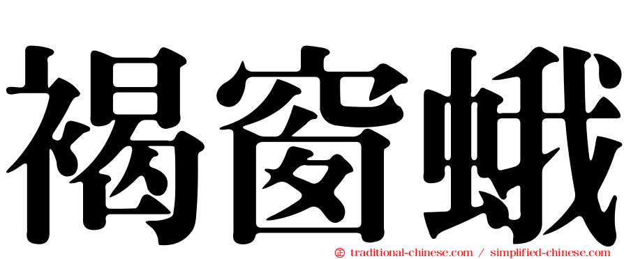 褐窗蛾